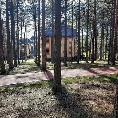 Zlatibor M Apartment Bagian luar foto
