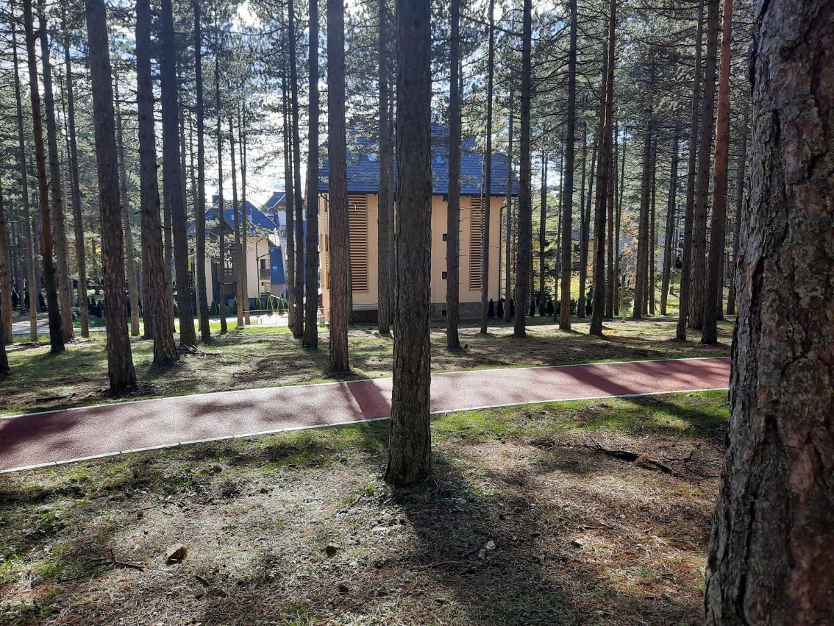 Zlatibor M Apartment Bagian luar foto