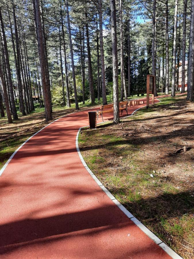 Zlatibor M Apartment Bagian luar foto